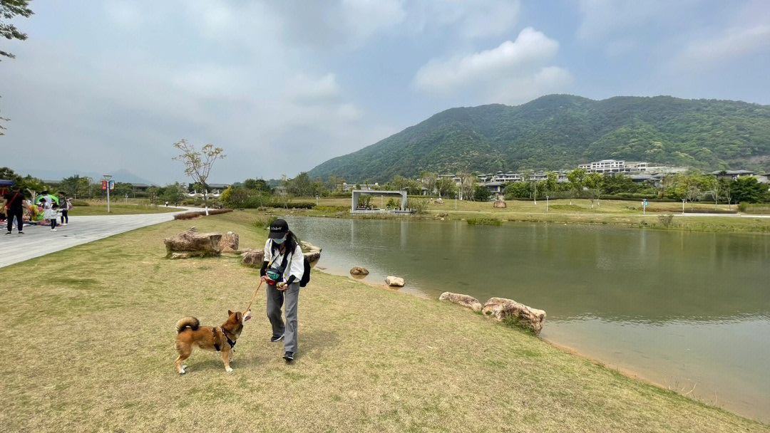 从化从都湿地公园图片