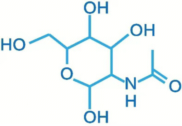 促进皮肤透明质酸生成的利器乙酰壳糖胺