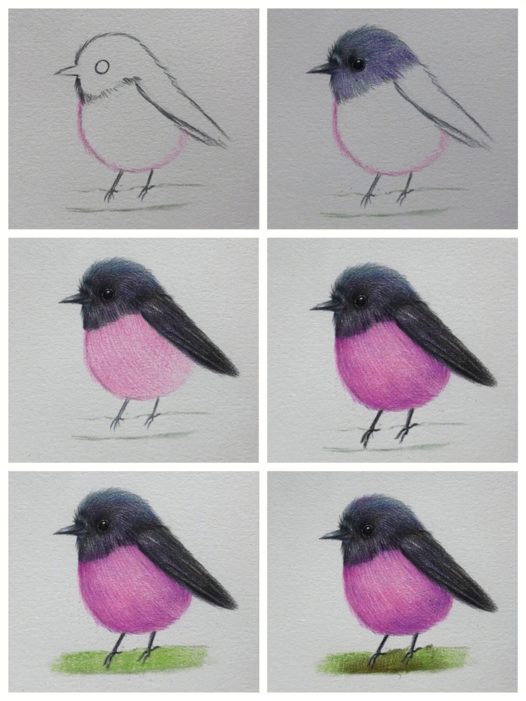 一年级美术小鸟简单画图片
