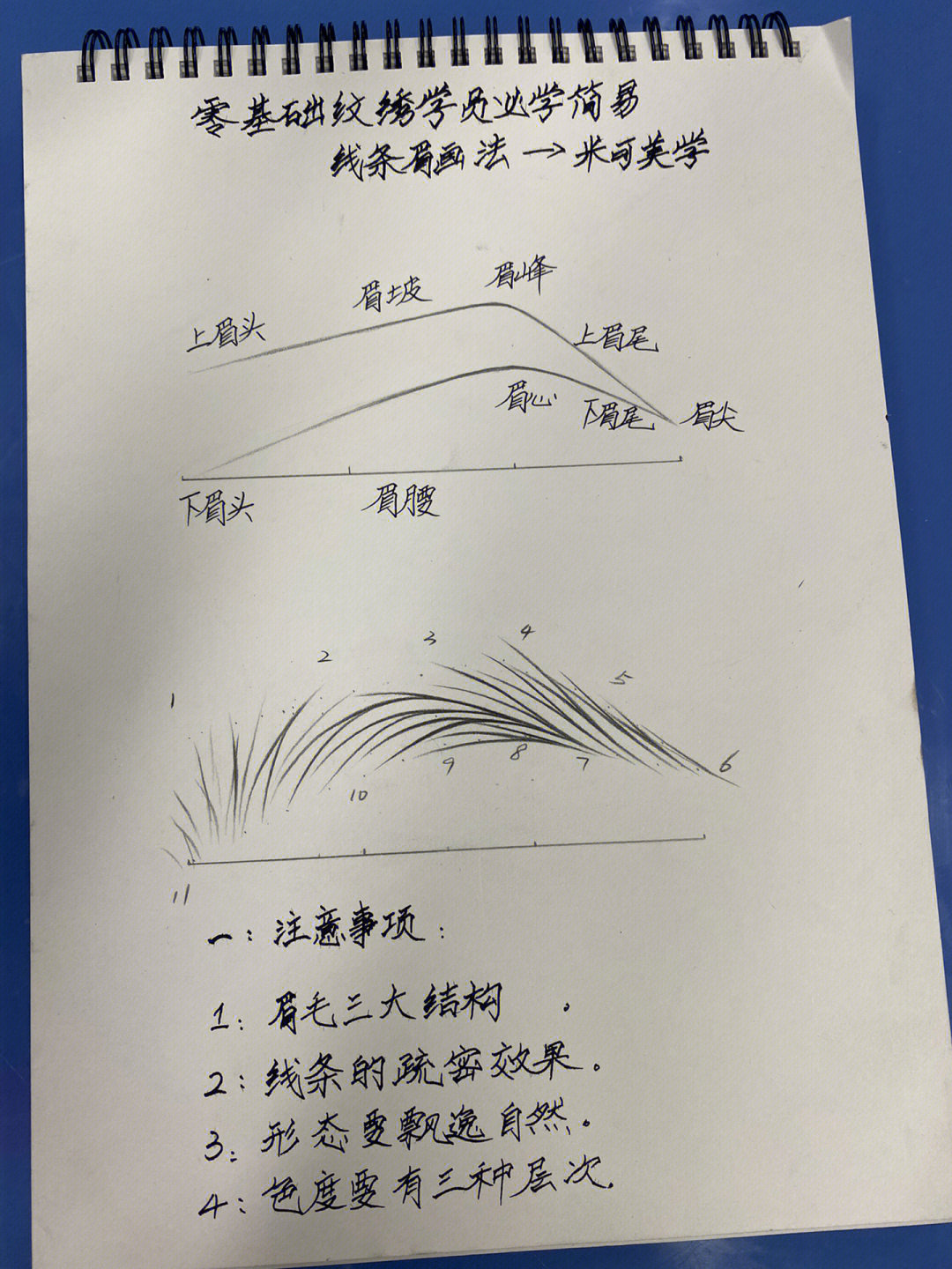 弧形眉在纸上的画法图片