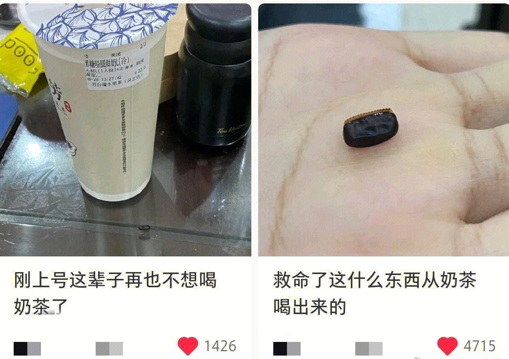 感染蟑螂卵病图片图片