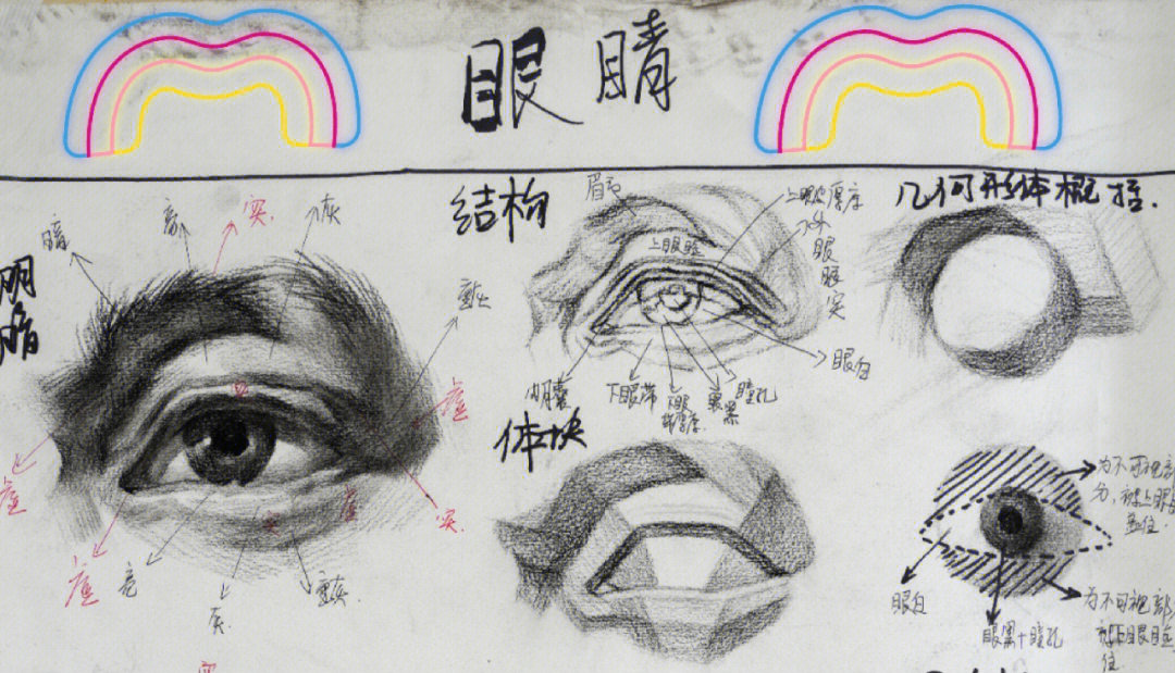 画眼球结构示意图素描图片