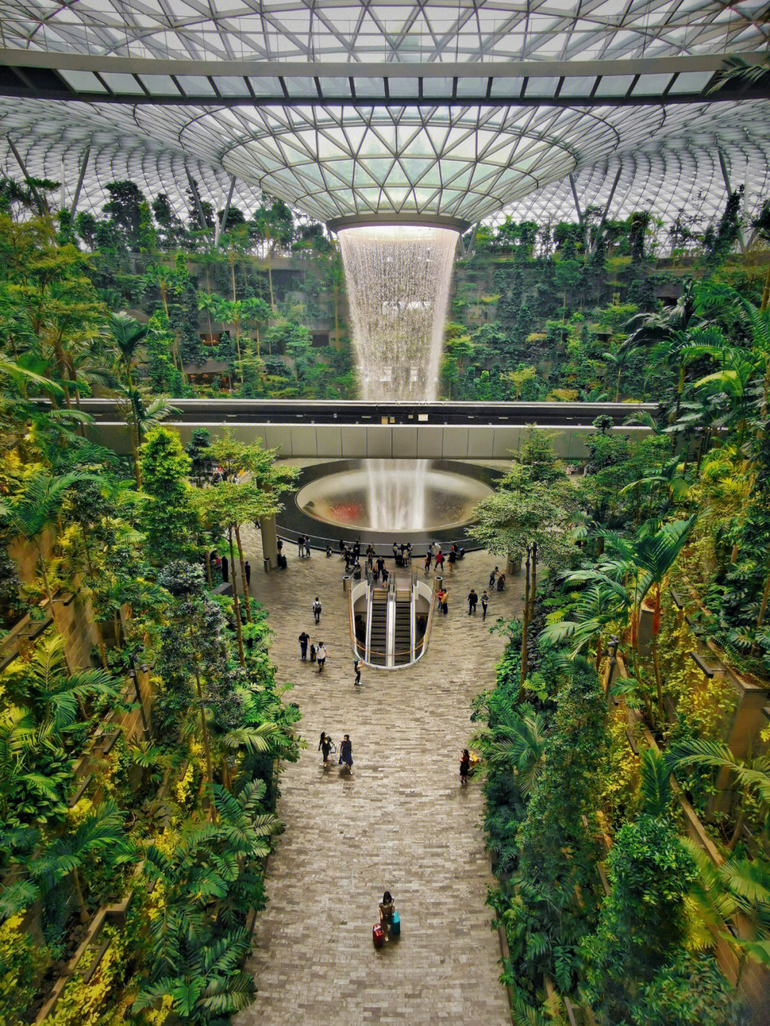 新加坡樟宜机场设计师图片