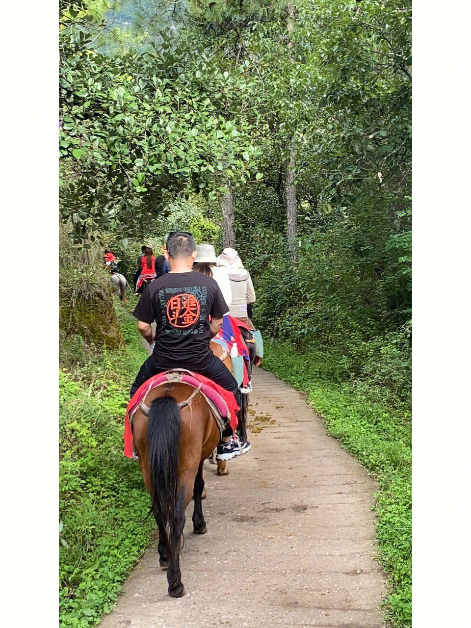 骑着马沿着茶马古道奔跑,蹄声敲打路面上的石塊,使人感到茶马古道的古