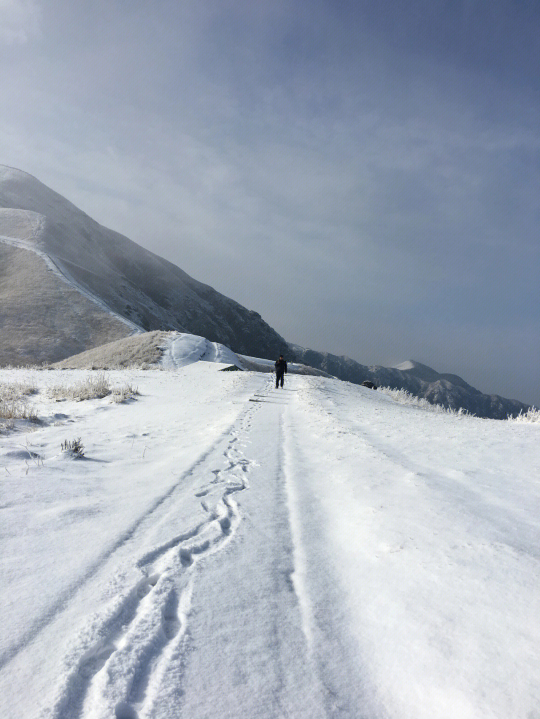 雪中行简谱图片