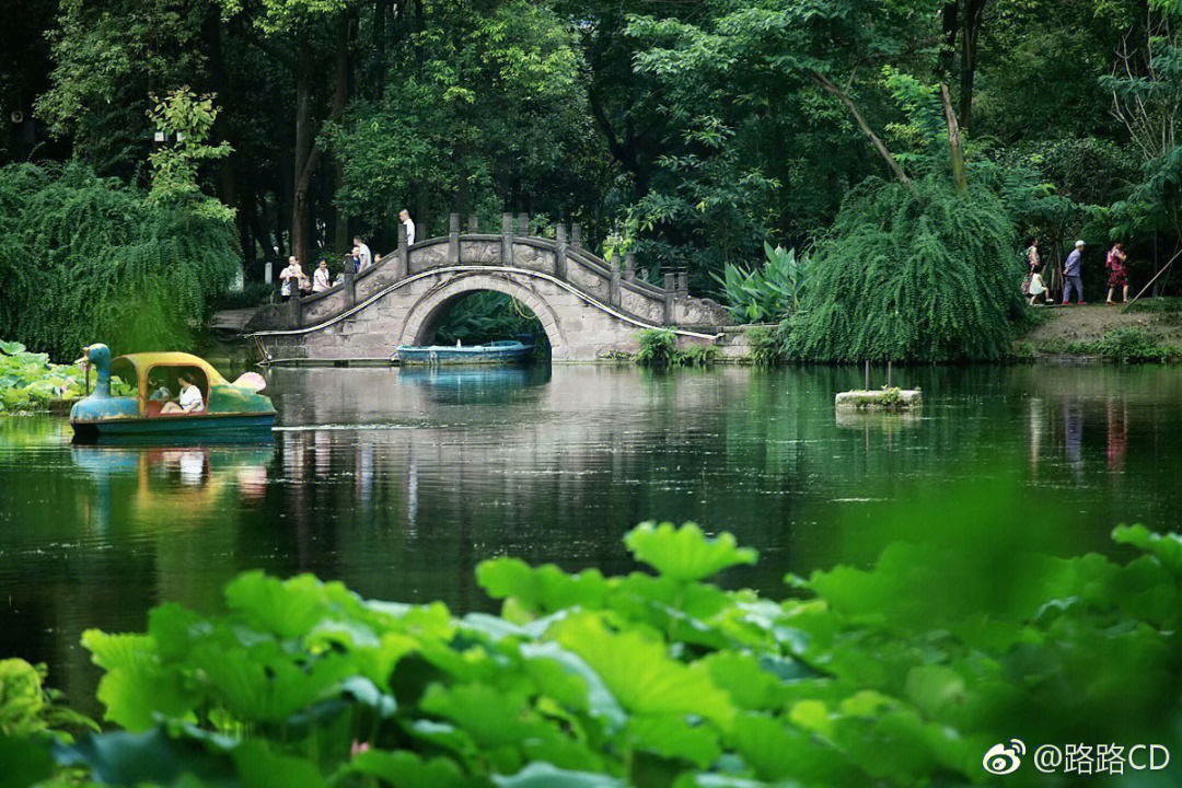 福州桂湖图片