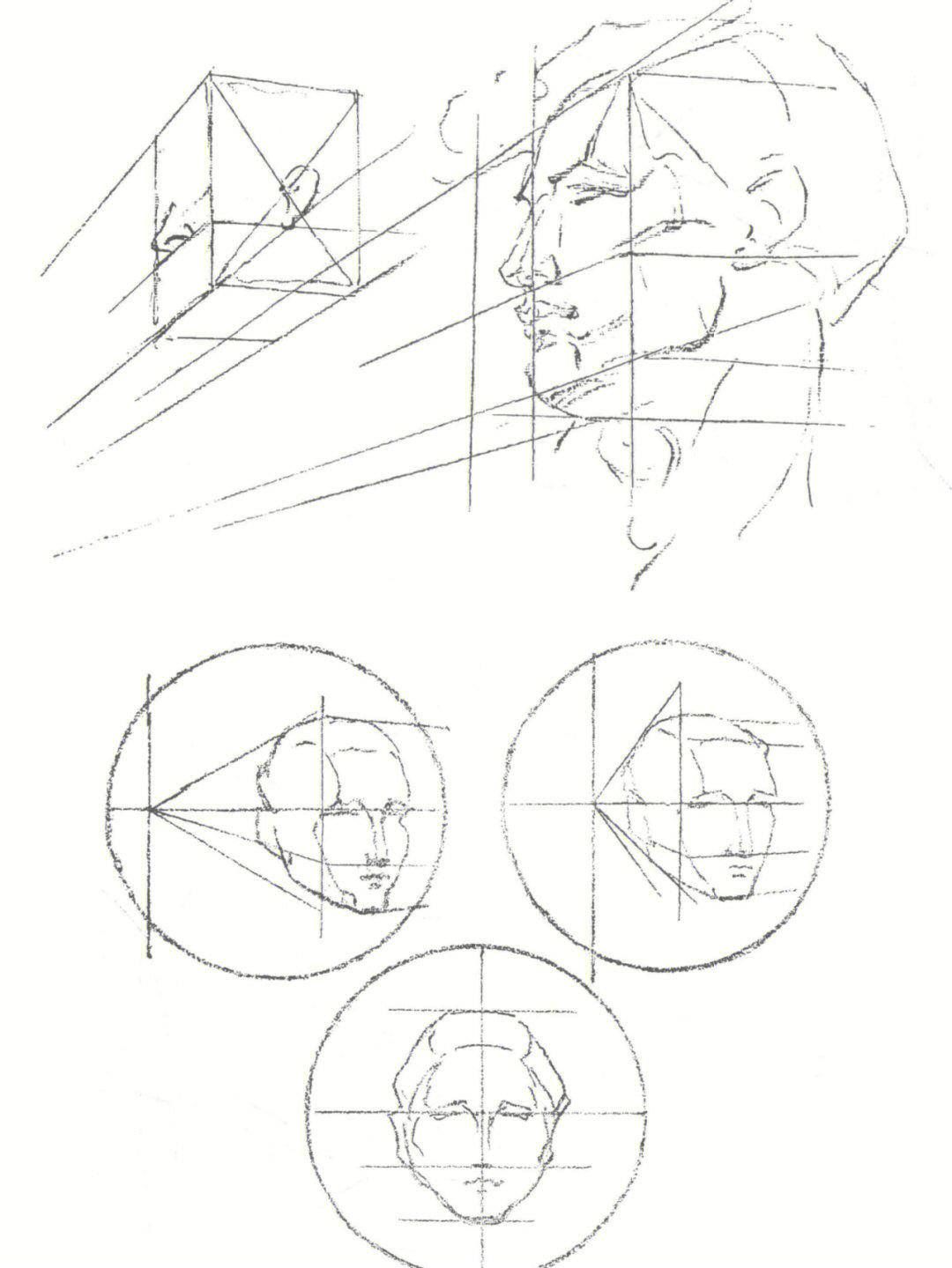伯里曼人体结构绘画教学头部的透视画法