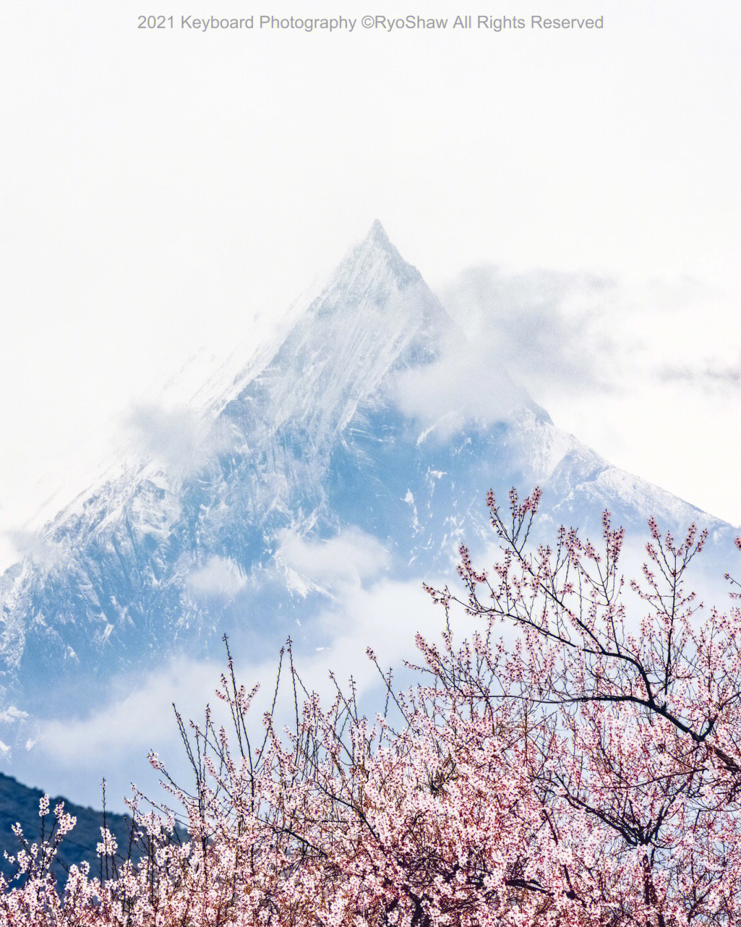 林芝天气_林芝租车_林芝