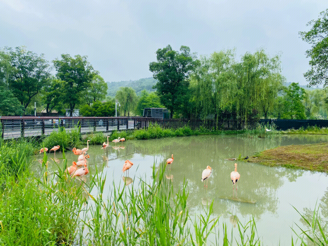 苏州上方山动物园地址图片