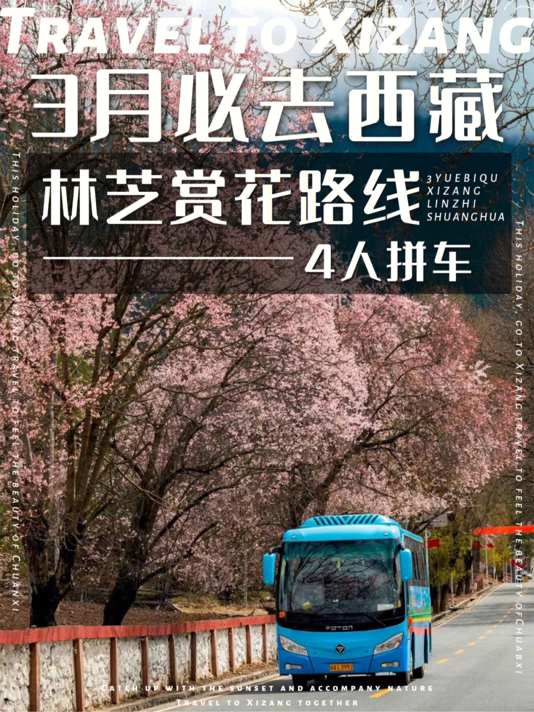 林芝2路公交车路线图图片