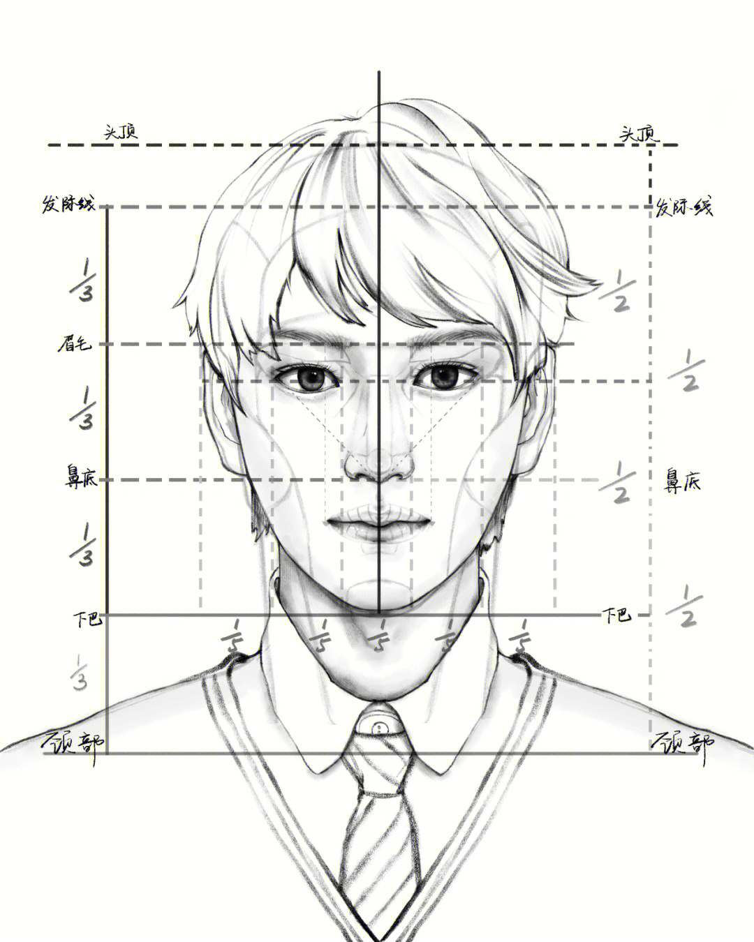 人头正侧面比例图片