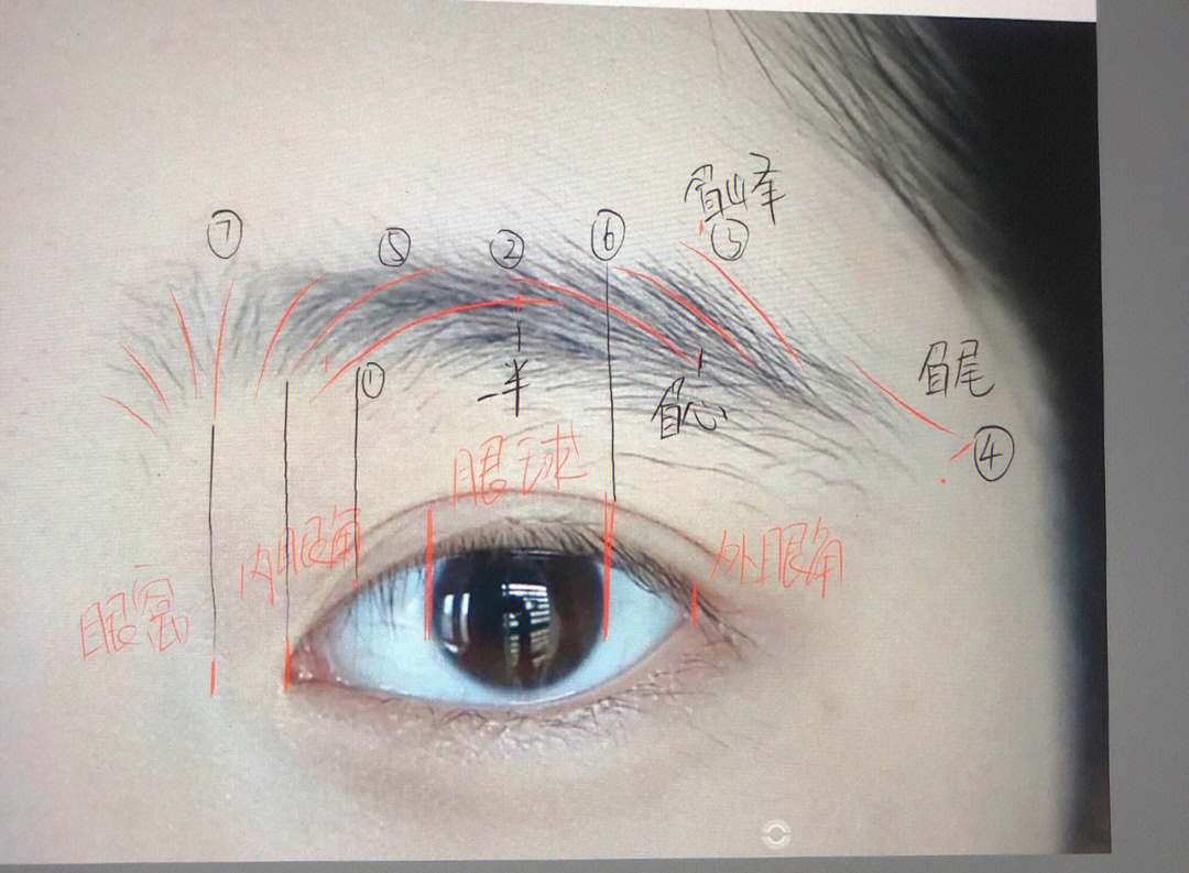 我所理解的眉毛7点定位