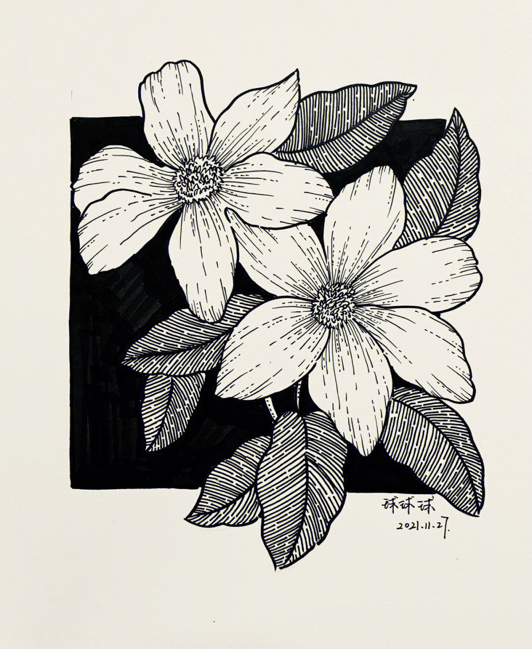 黑白装饰画复杂花卉图片