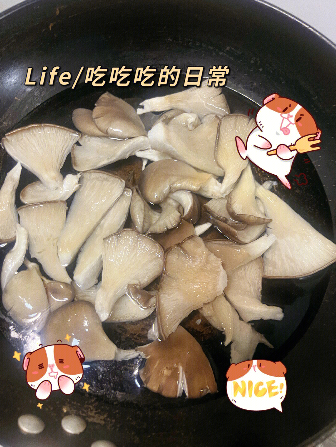 炒菜蘑菇种类图片