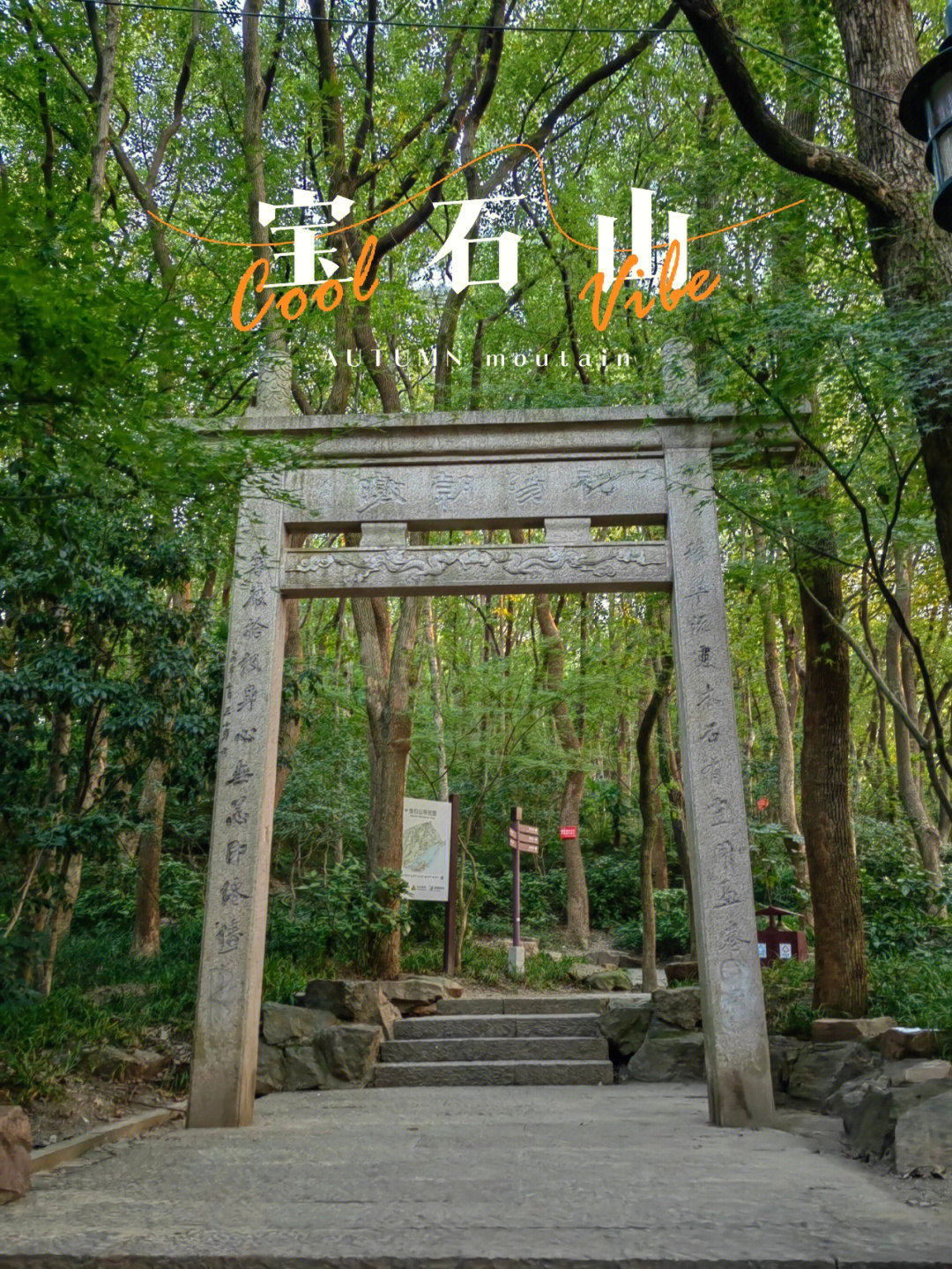 杭州宝石山背阴树图片