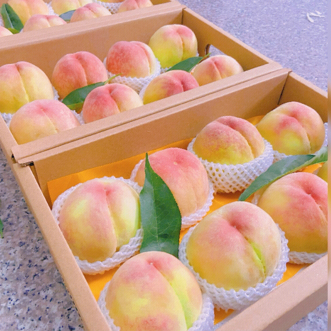 无锡惠山特产水果图片
