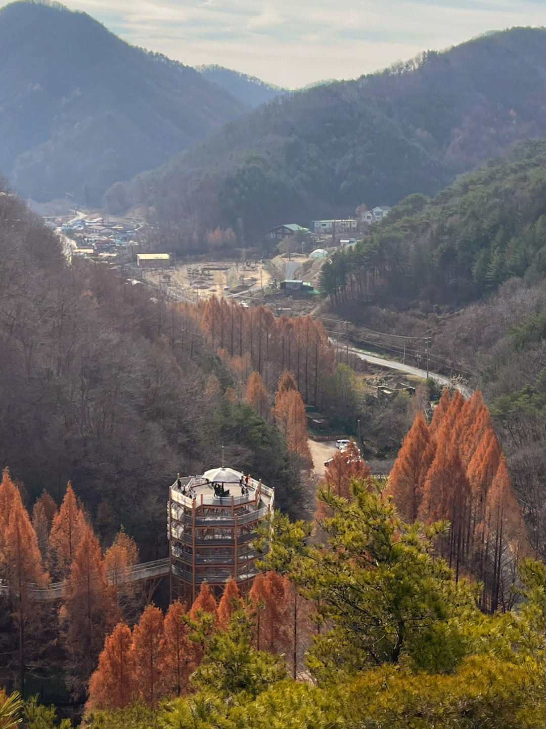 西归浦自然休养林图片