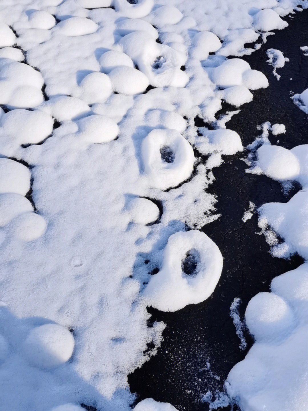 雪后图片