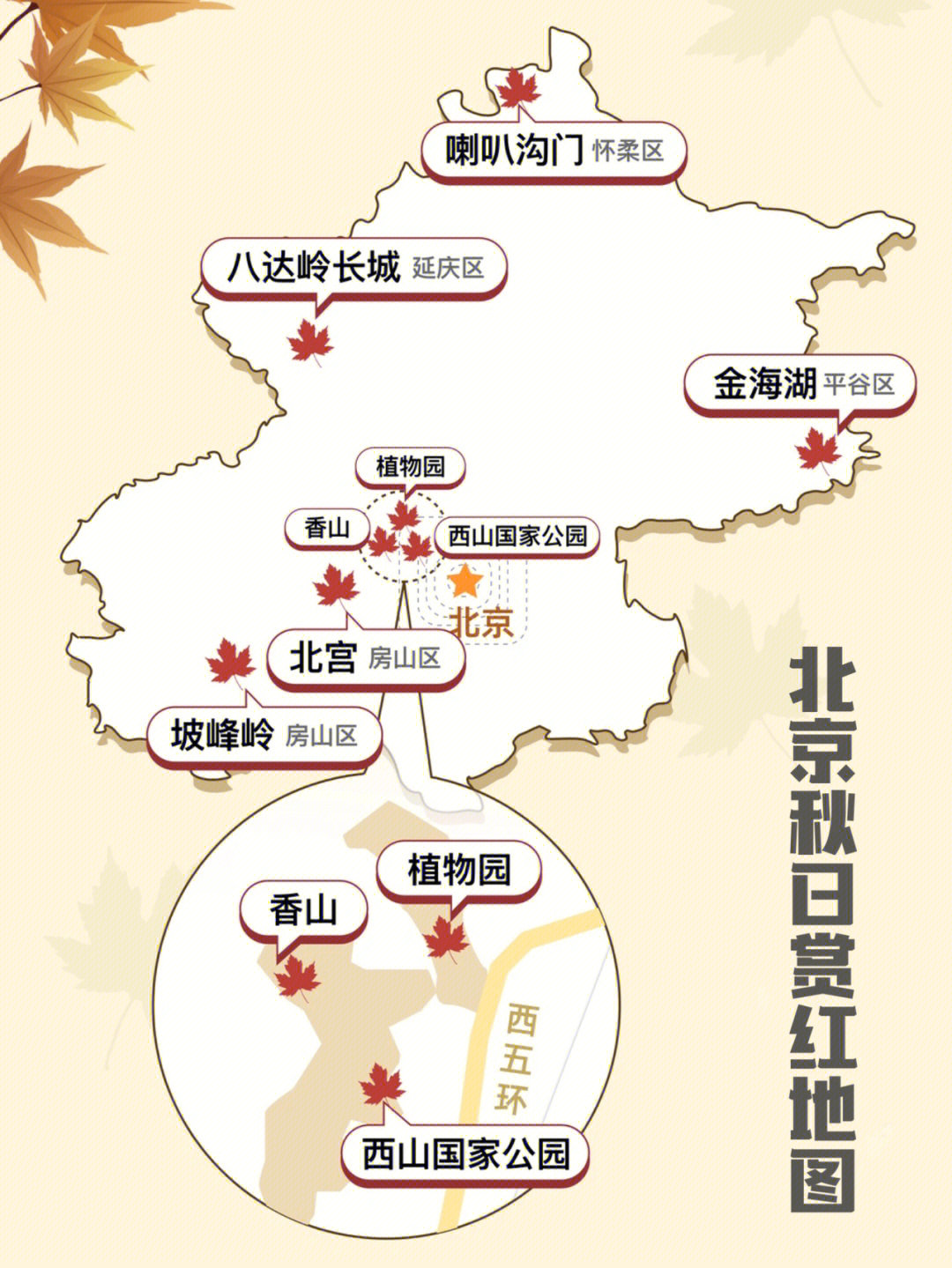 中国清朝枫叶地图图片