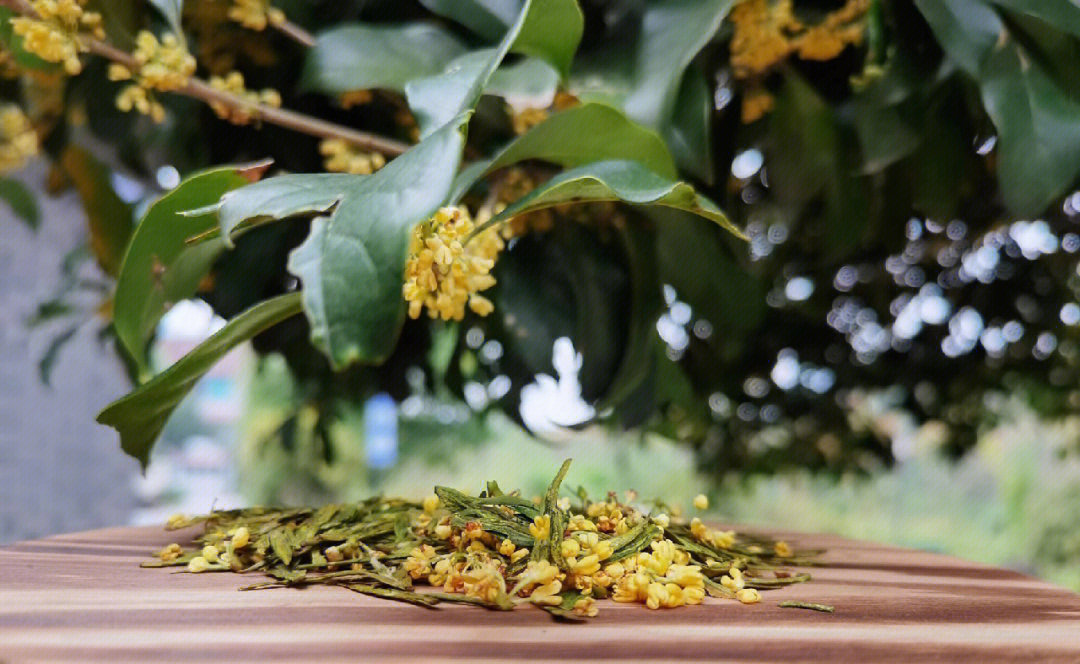 杭州满城都是桂花香,杭州的桂花已经完全开了,现在真是喝桂花西湖龙井