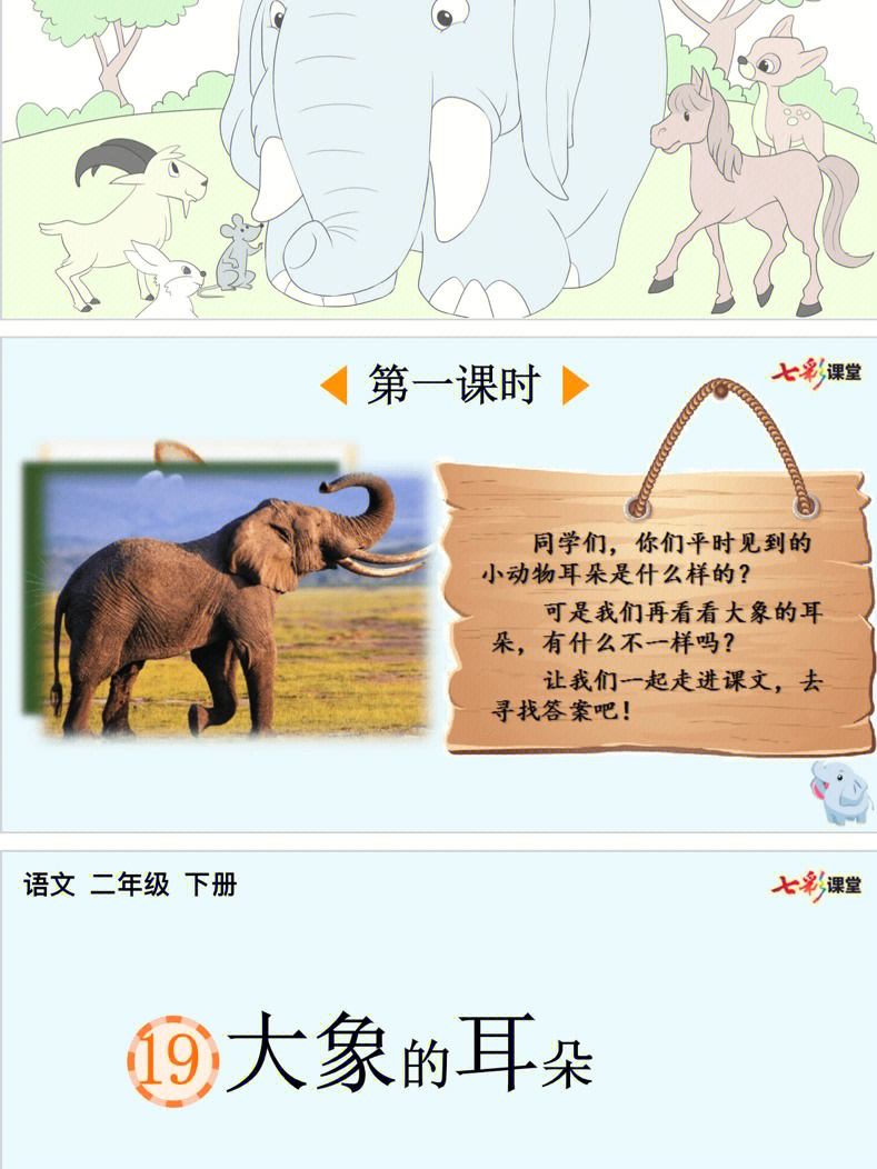 大象的耳朵电子课本图片