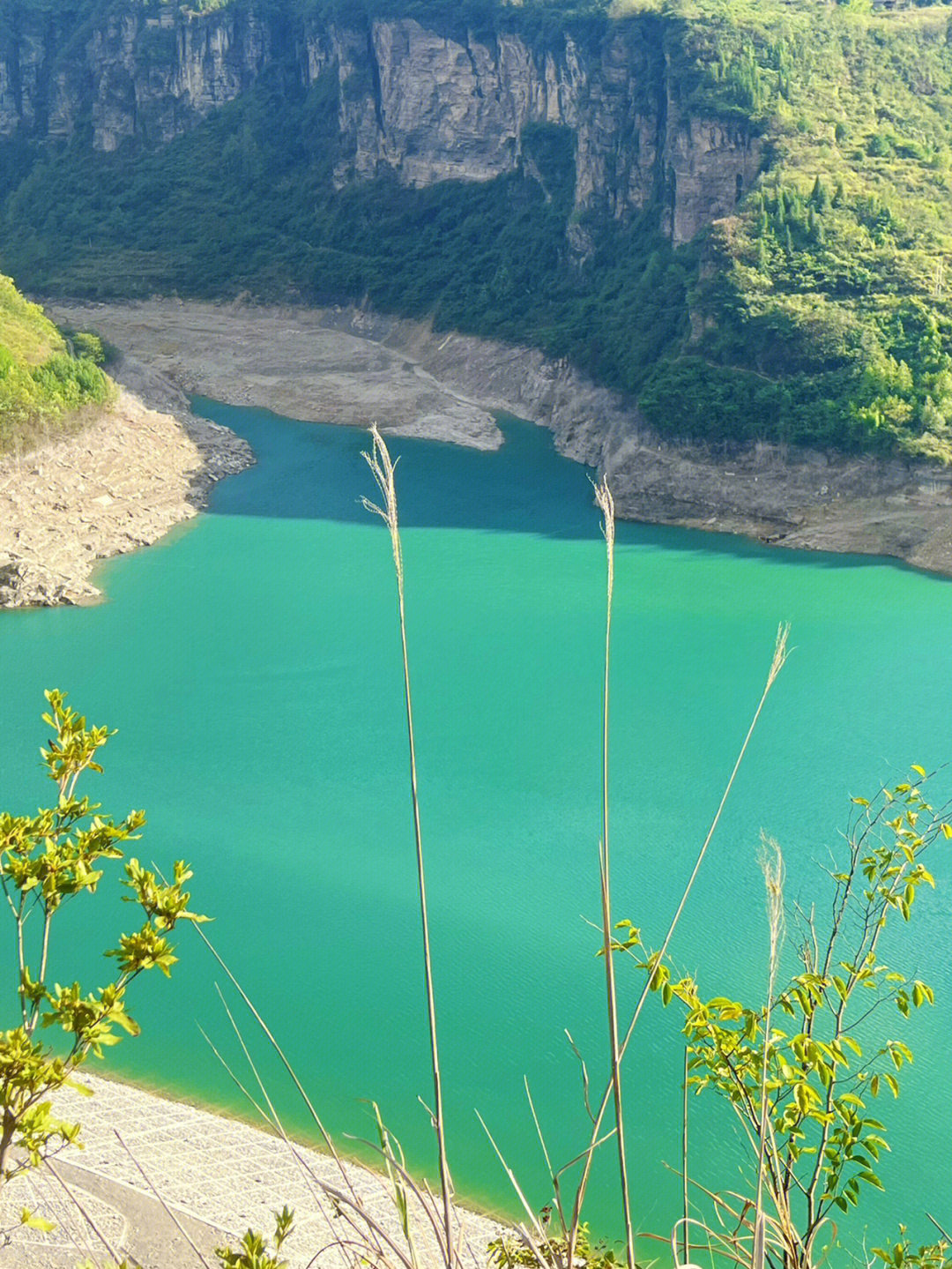 南川头渡镇金山湖(距离主城2小时)