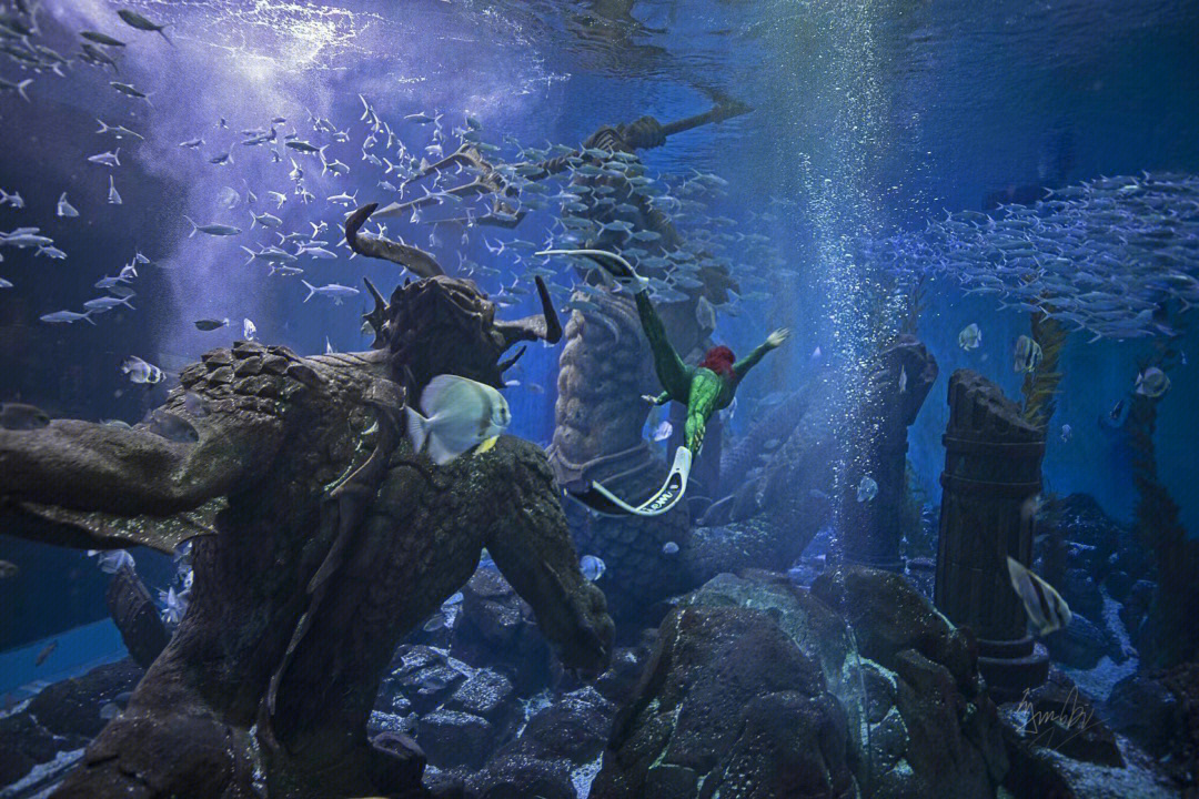 抖音海王鱼塘图片图片