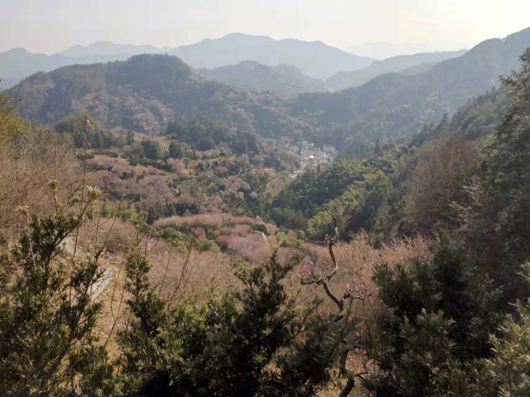 落花成泥简谱图片