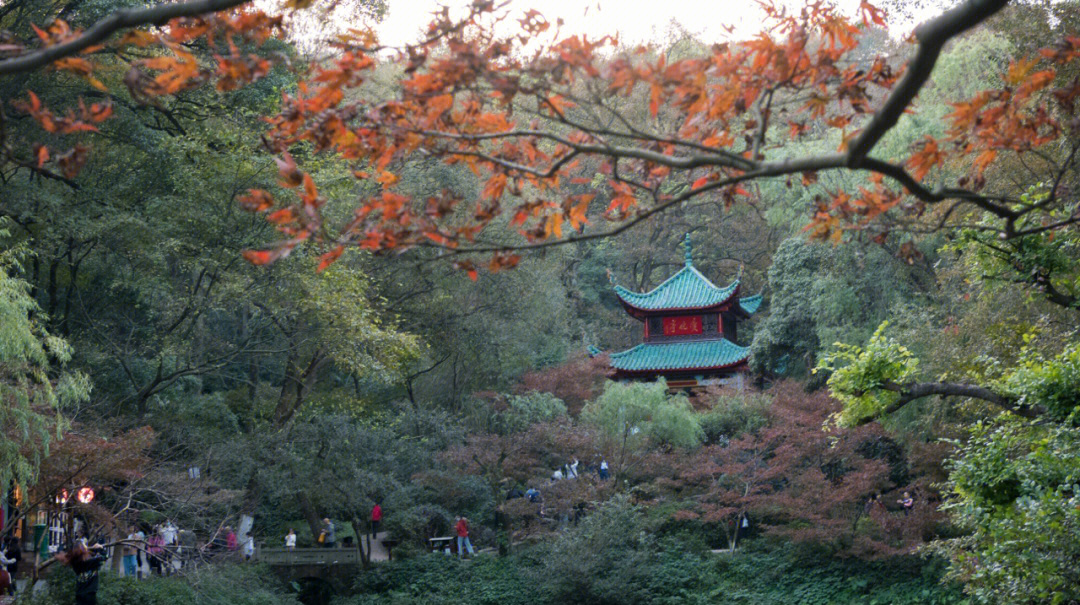 岳麓山上