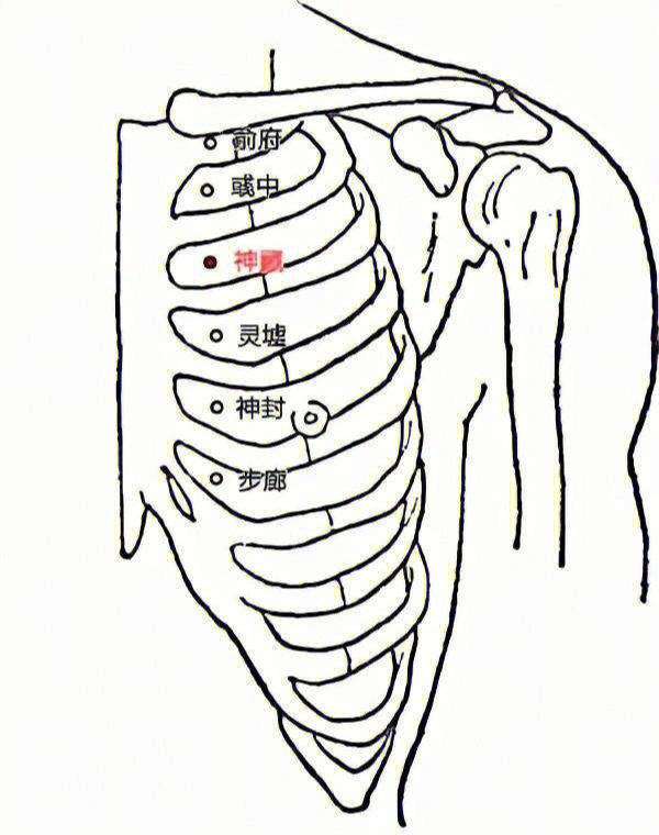 一下它的定位,神藏穴位于人体的胸部,第二肋间隙正中线旁开两寸的位置