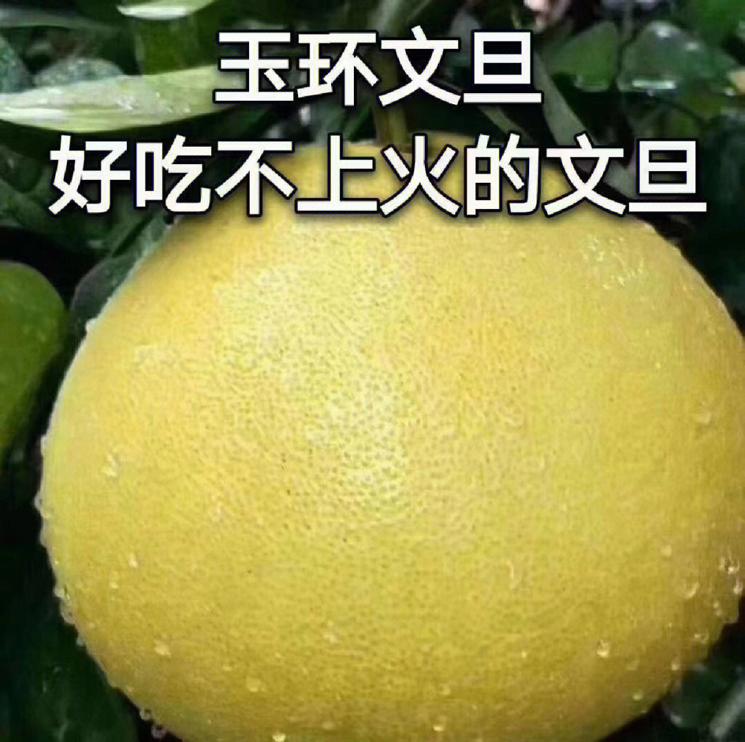 玉环文旦