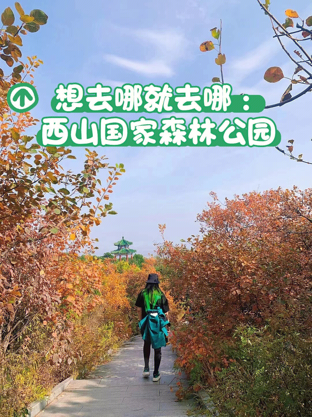 北京西山森林公园游记图片