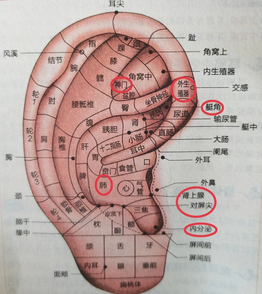 继续来说说宝宝过敏尿路感染的经历