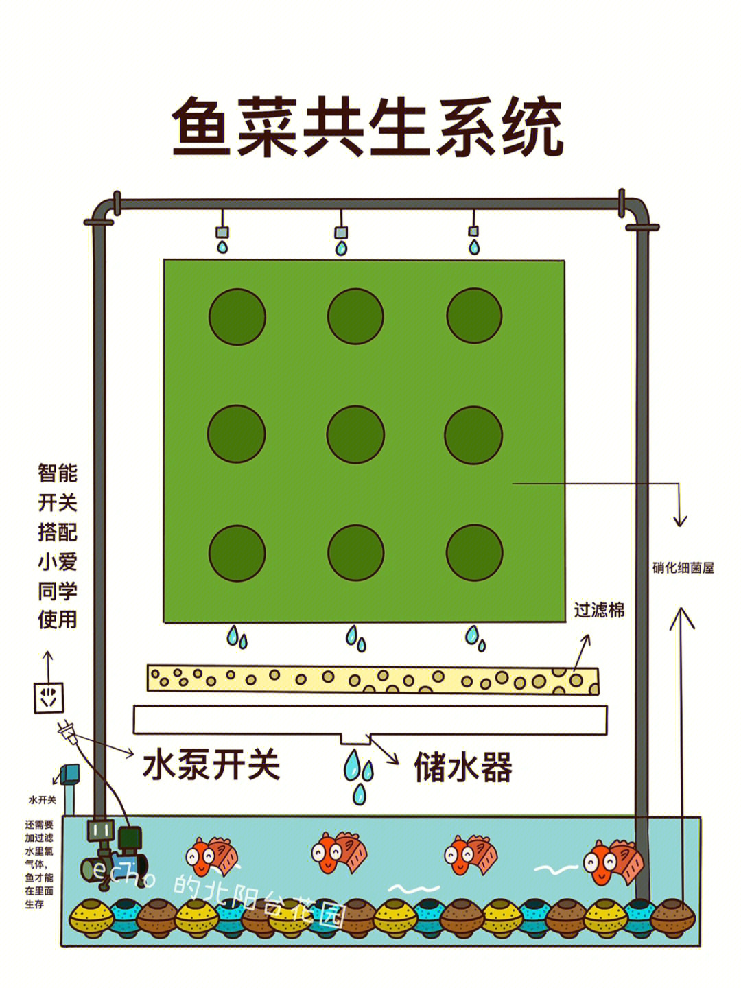 鱼菜共生种植槽的制作图片