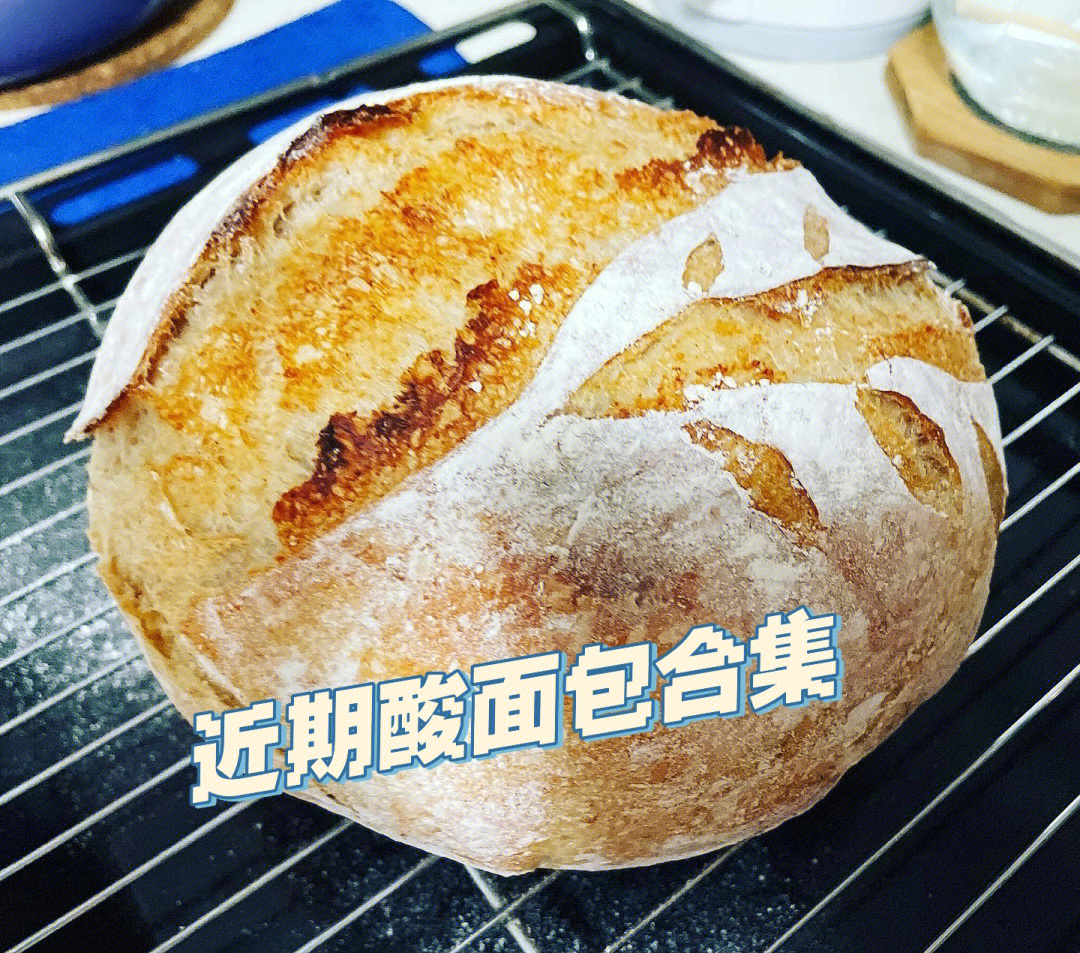 新手上路做酸面包上瘾sourdough