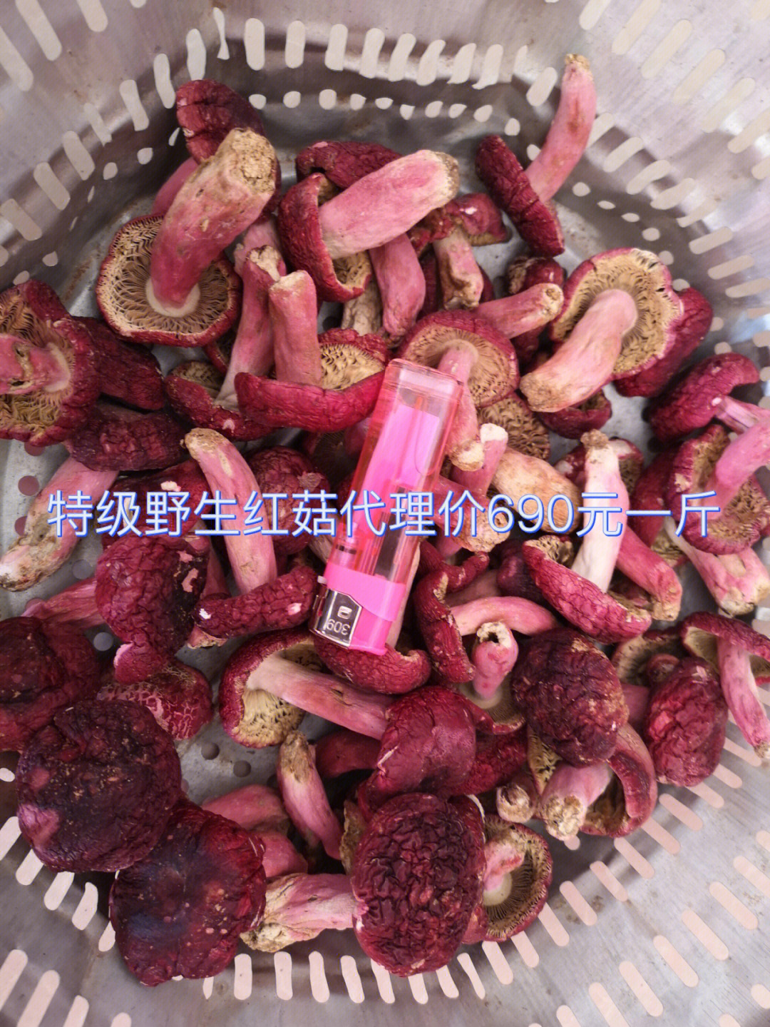 野生红菇1200元一斤图片