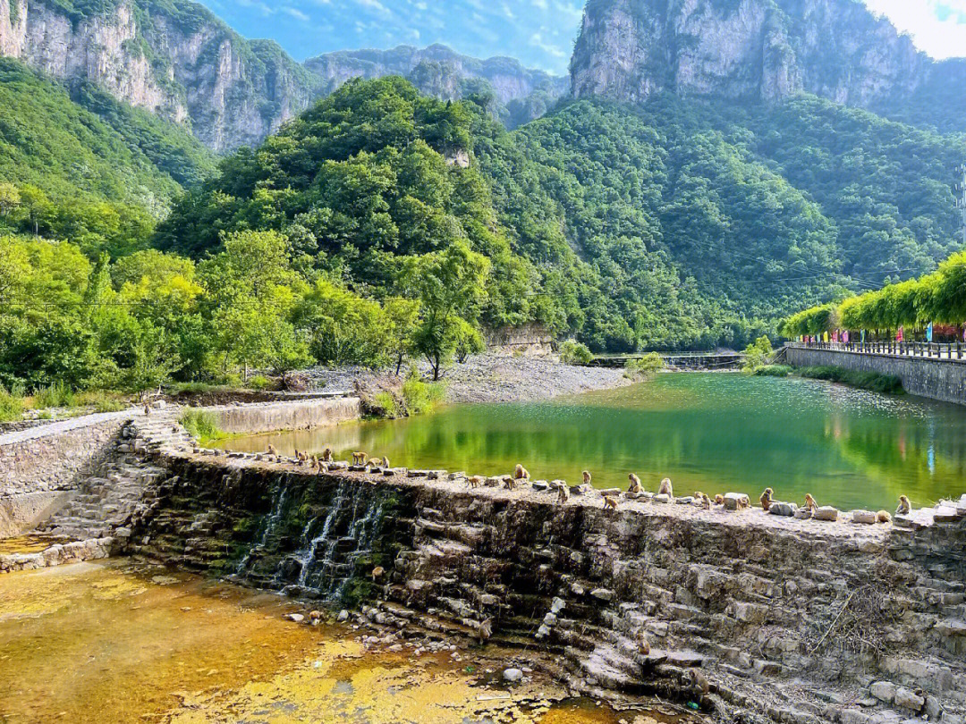 蟒河景区电话图片