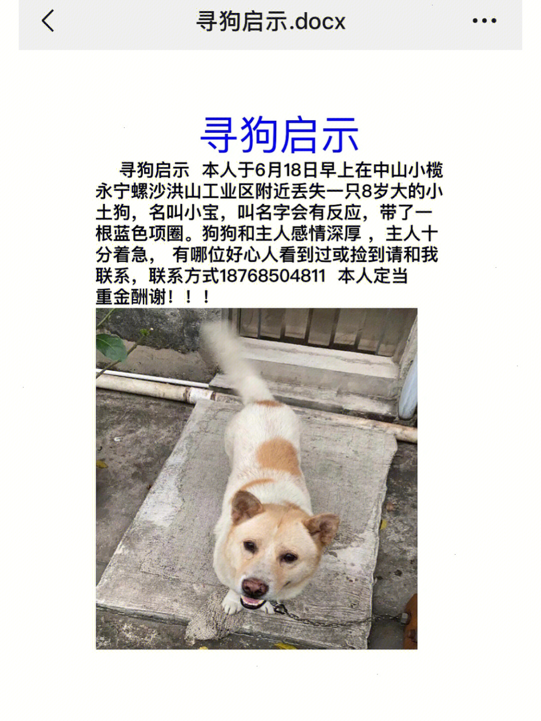 寻狗启示狗狗走丢希望大家帮帮我