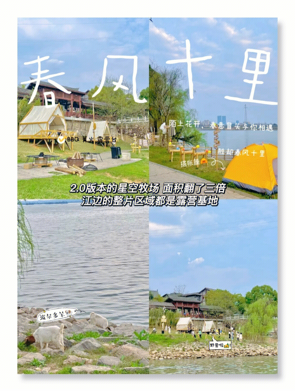 湘潭窑湾星空牧场图片