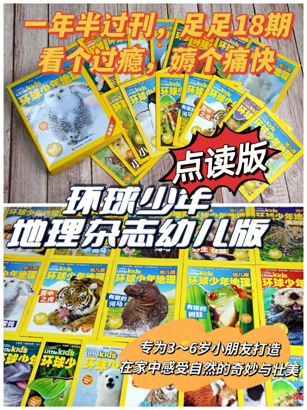 环球少年地理kids幼儿版1年半过刊来