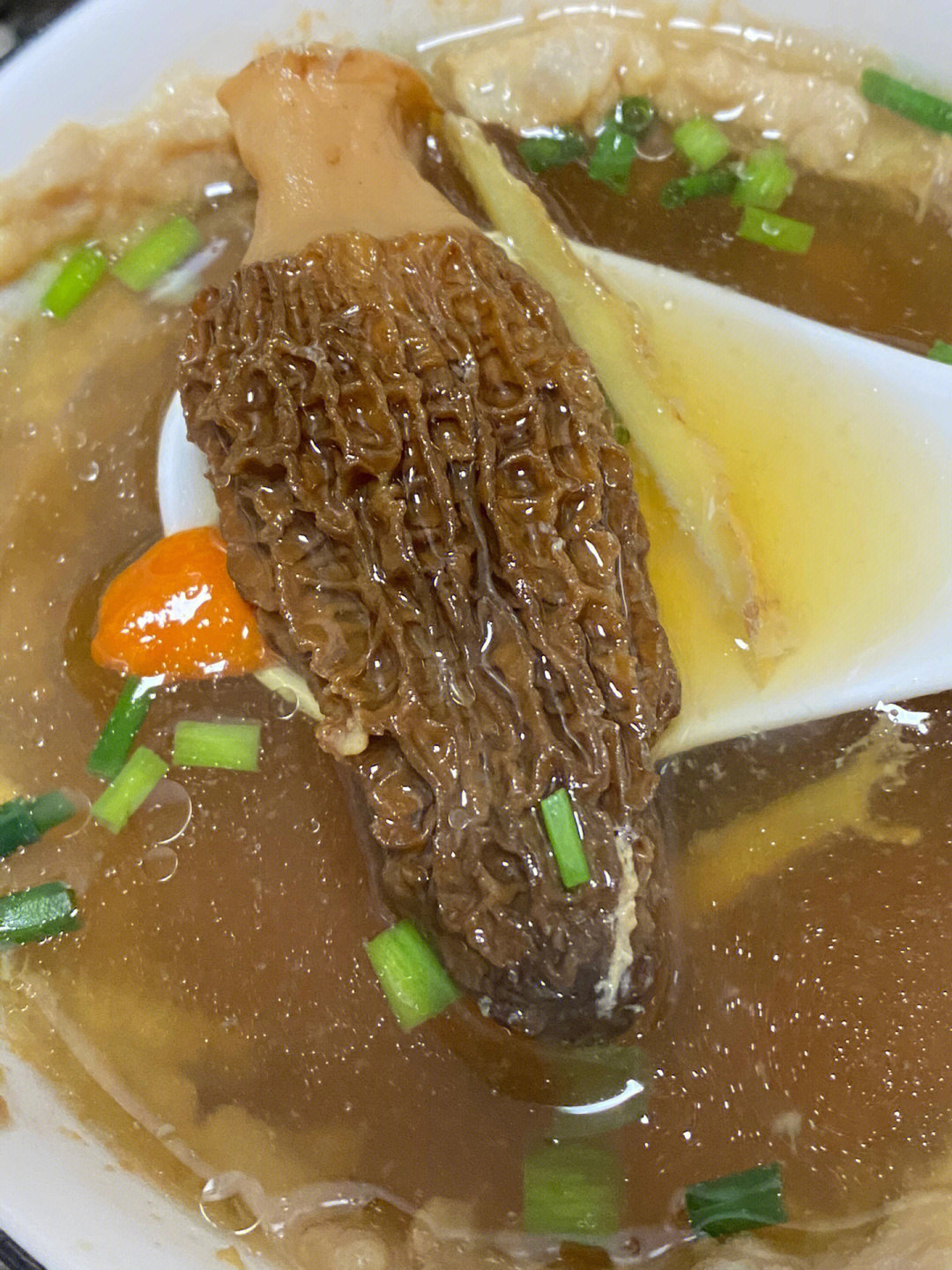 分享简单易学的羊肚菌瘦肉汤