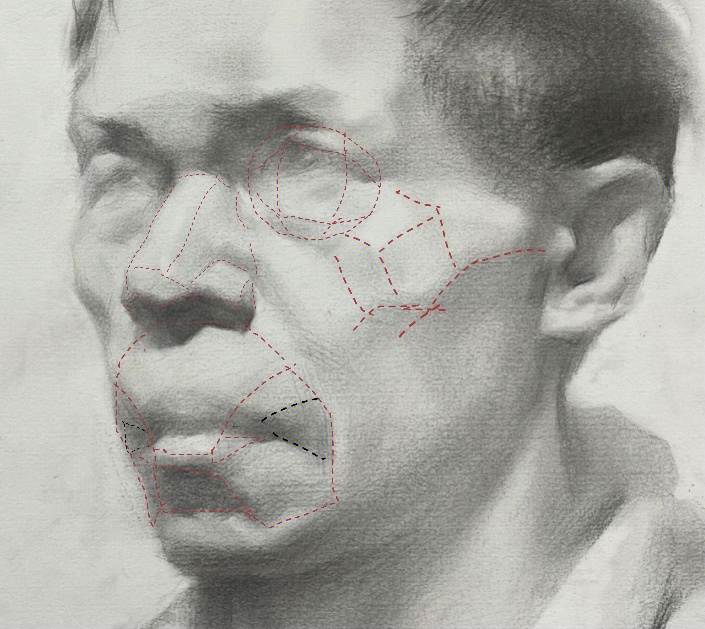人脸结构图解素描块面图片