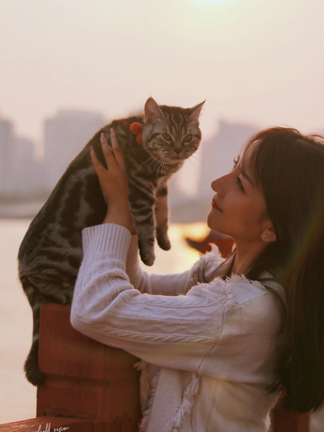 人和猫一起的照片图片