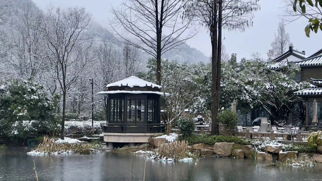 杭州又下雪了