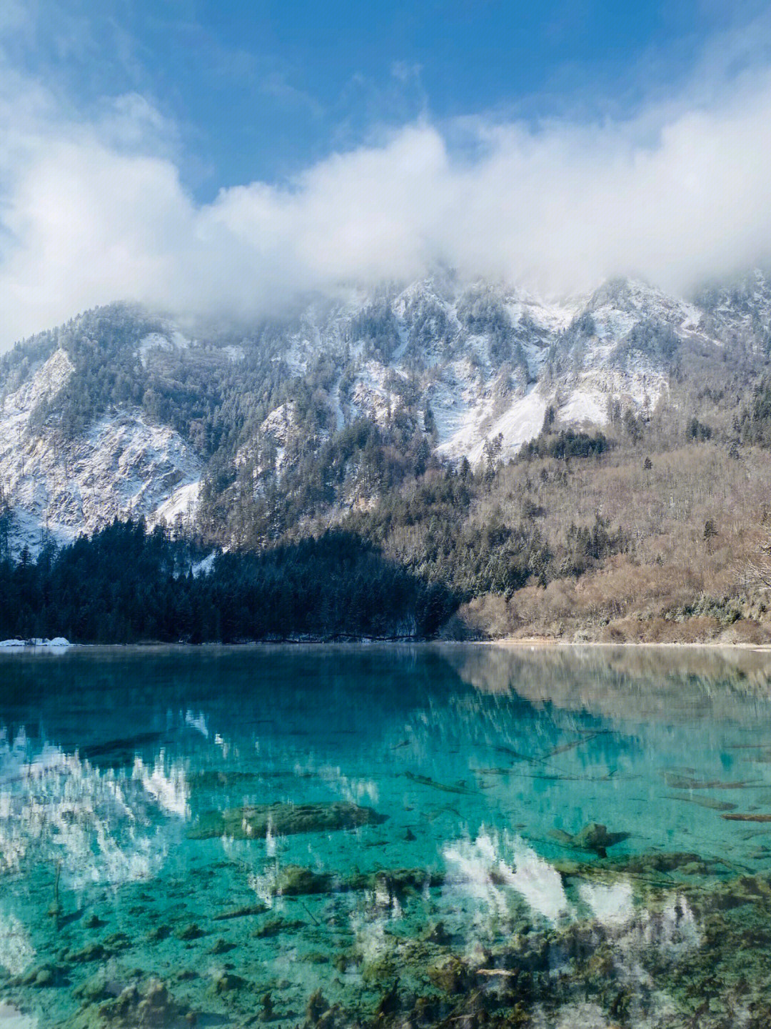 四川成都阿坝藏族自治州九寨沟