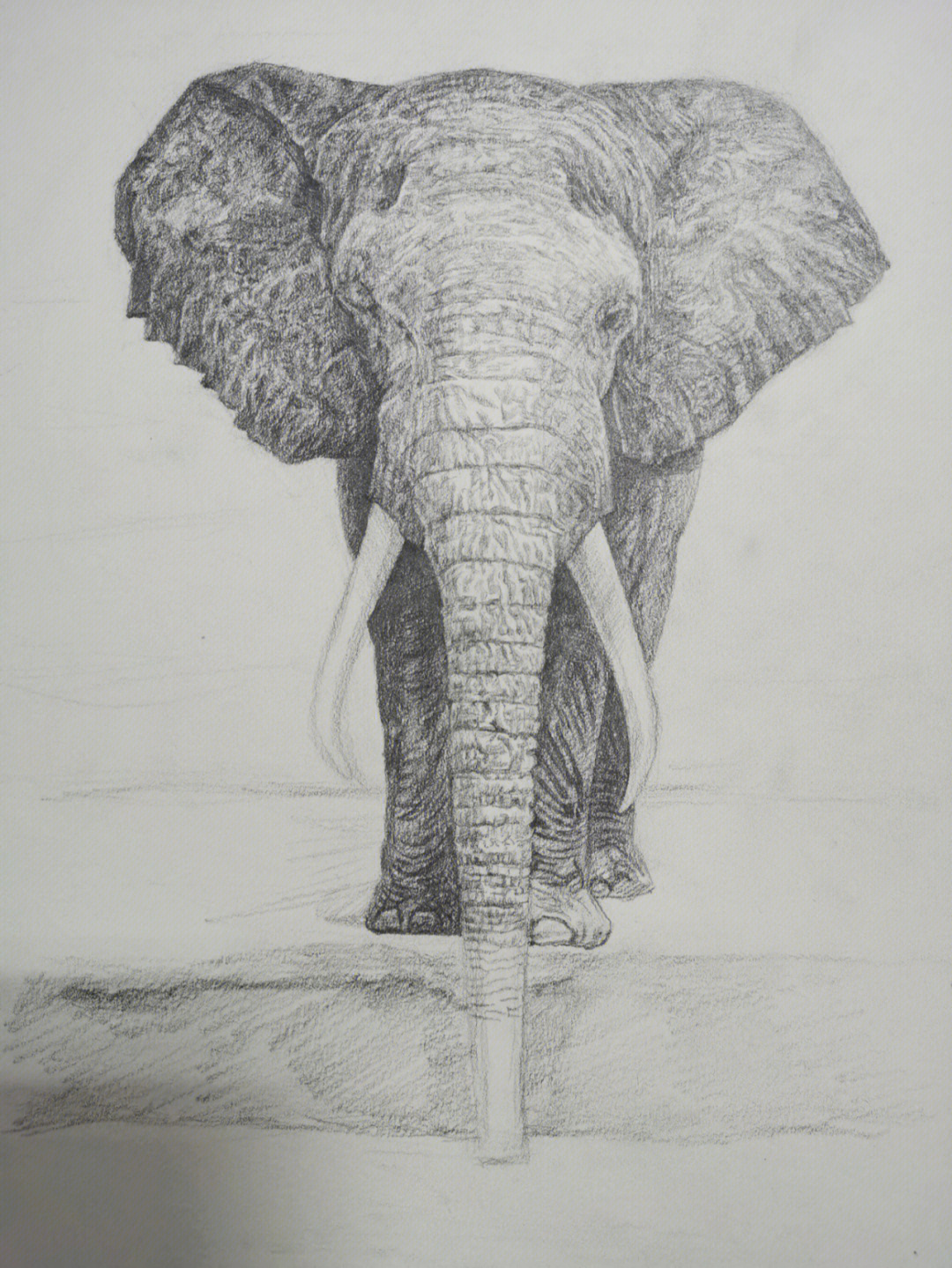 详细大象绘画教程two