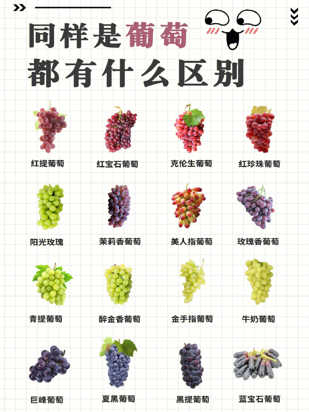 18大葡萄品种介绍图片图片