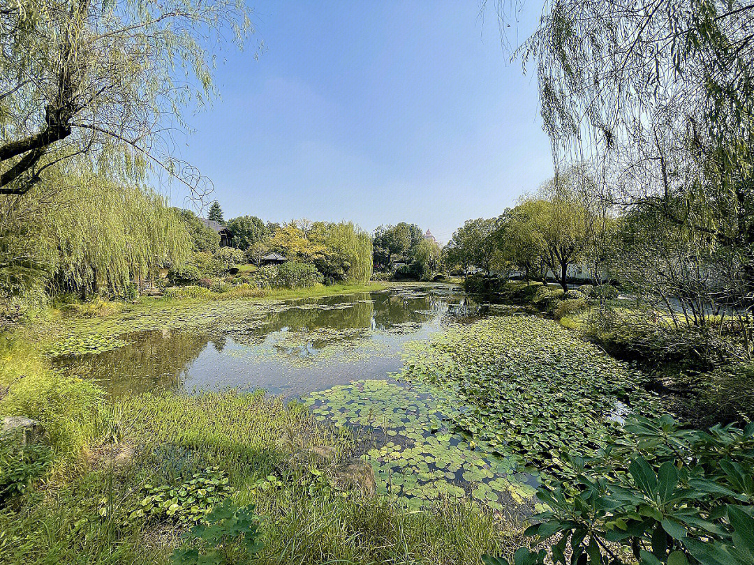 杭州桃花源十锦园图片