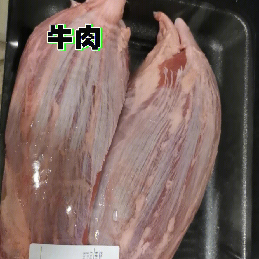 绝绝子小白卤牛肉