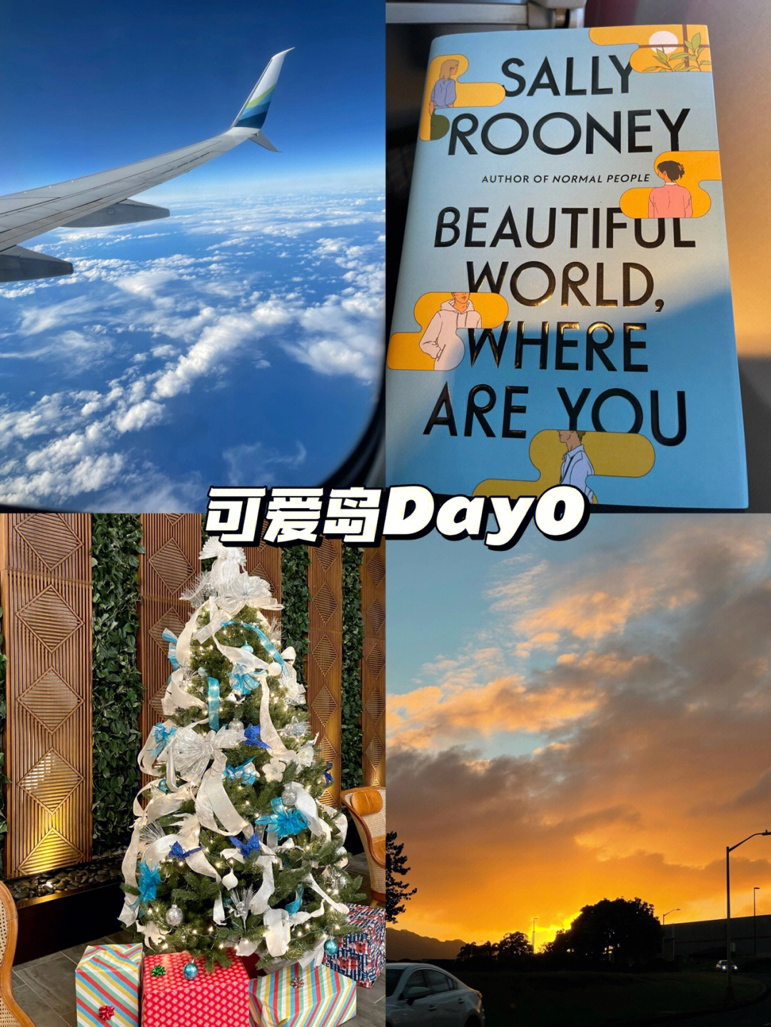 travel夏威夷可爱岛day076